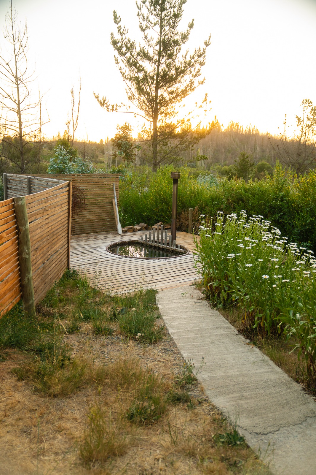 whatsapp-image-2025-03-04-at-115509-am